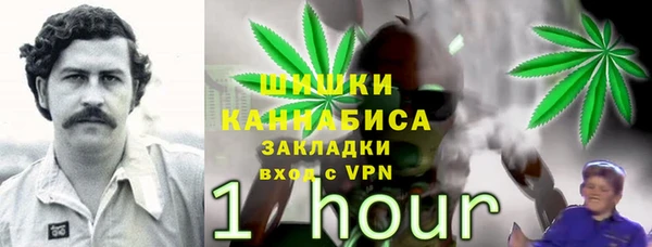 дурь Богородск