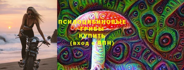 шишки Володарск