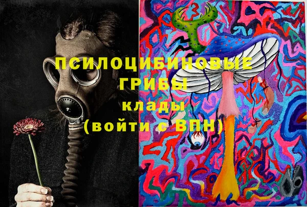 apvp Волоколамск