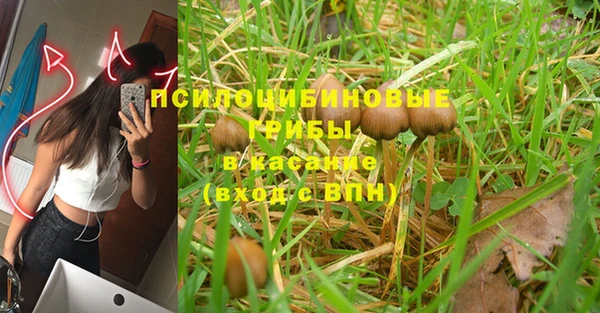 молекула духа Киров