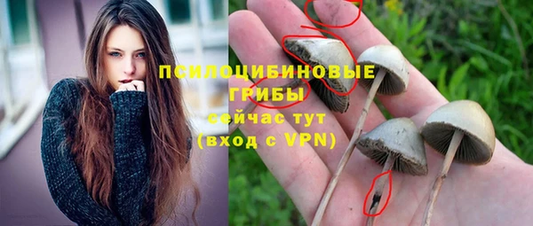 spice Лабытнанги