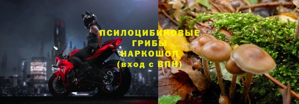 spice Лабытнанги
