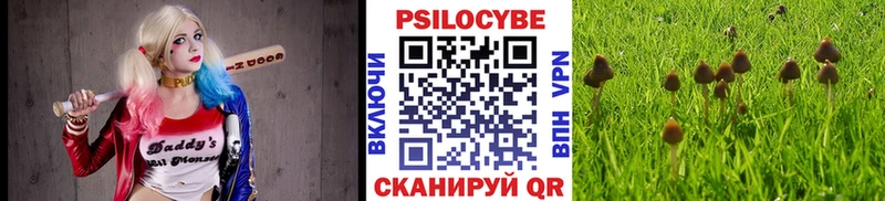 Галлюциногенные грибы ЛСД  Бокситогорск 